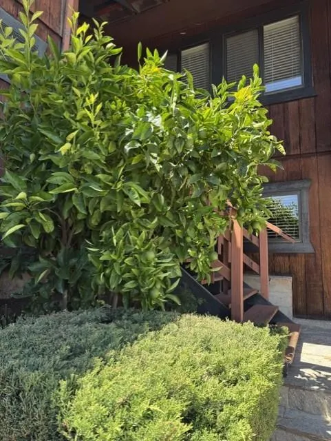 501 Camino Las Juntas Pleasant Hill, CA 94523