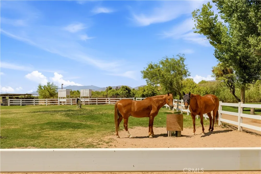 2500 Kingston Road Baker, CA 92309