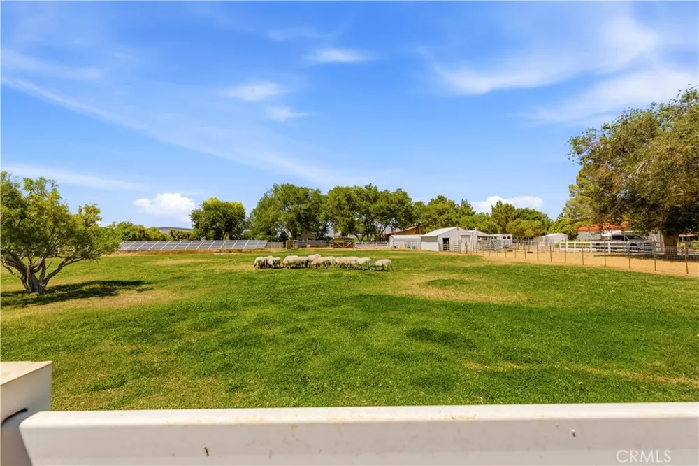 2500 Kingston Road Baker, CA 92309
