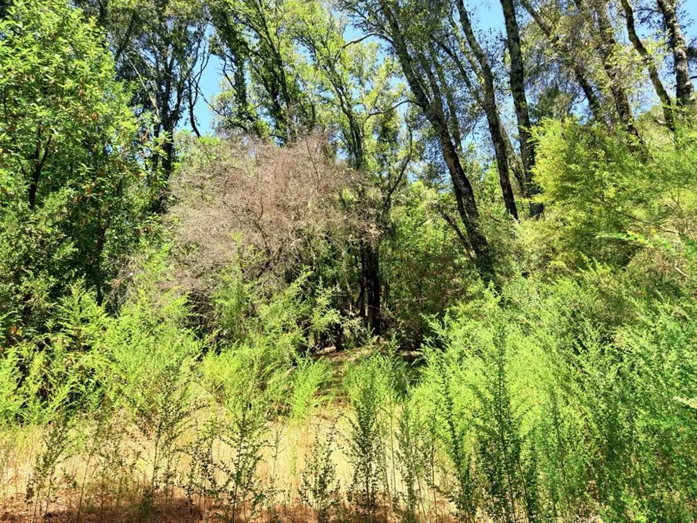 2033 Eureka Canyon Road Watsonville, CA 95076