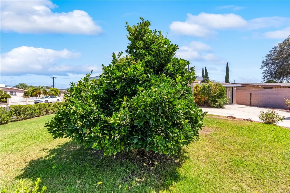 11892 Sandy Anaheim, CA 92804