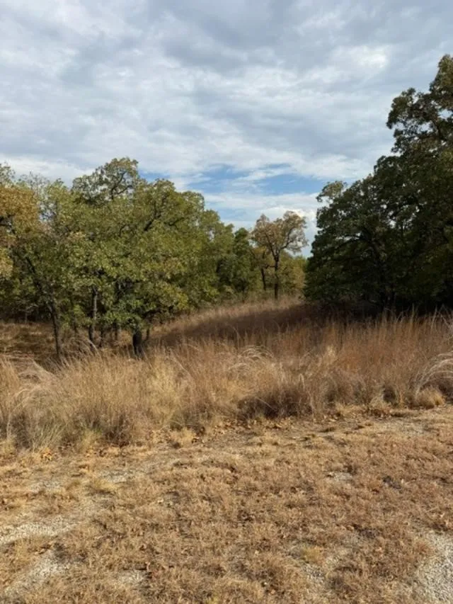 127 Hoppe Drive Nocona, TX 76255