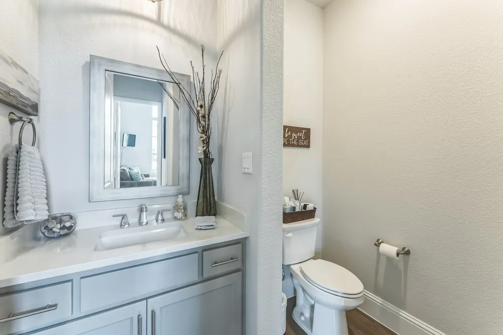 841 Ivy Glen Court Prosper, TX 75078