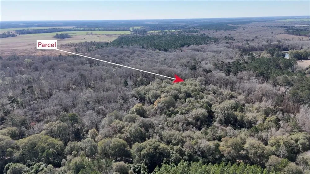 0 Highway 90 Byromville, GA 31007