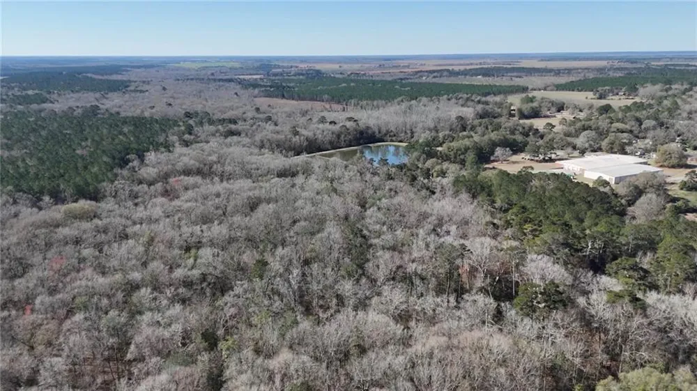 0 Highway 90 Byromville, GA 31007