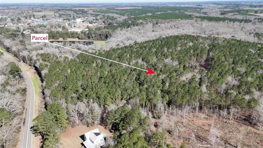 0 Highway 90 Byromville, GA 31007