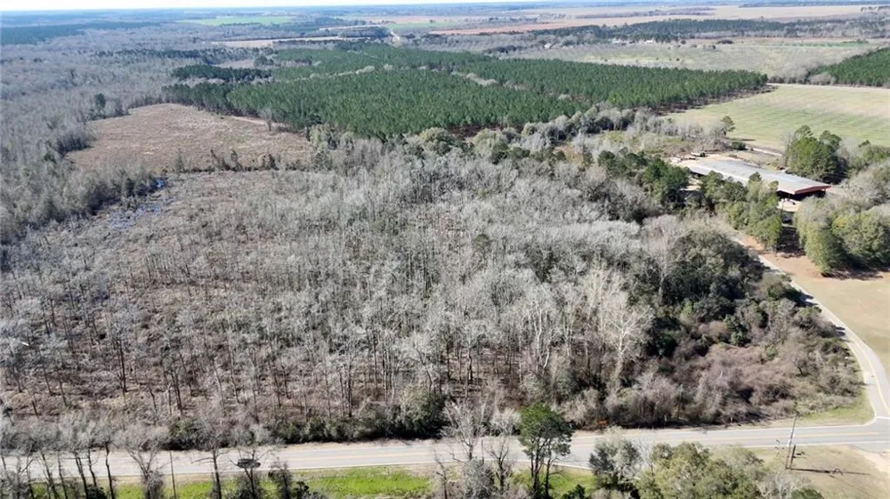 0 Highway 90 Byromville, GA 31007