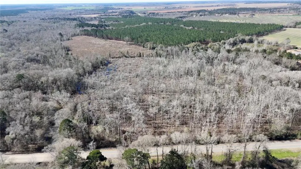 0 Highway 90 Byromville, GA 31007