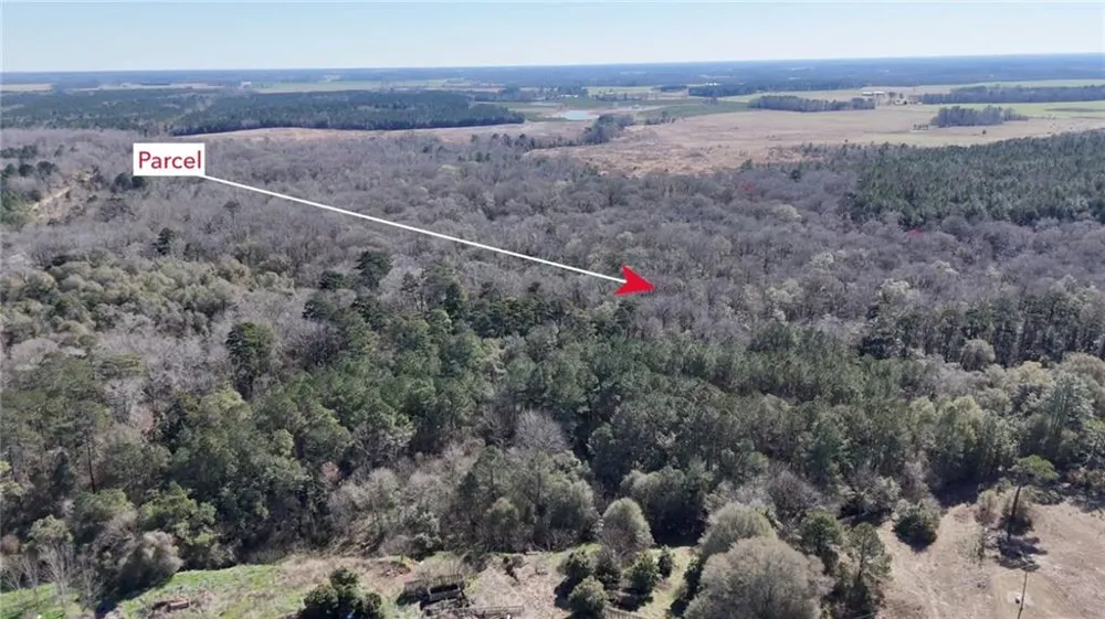 0 Highway 90 Byromville, GA 31007