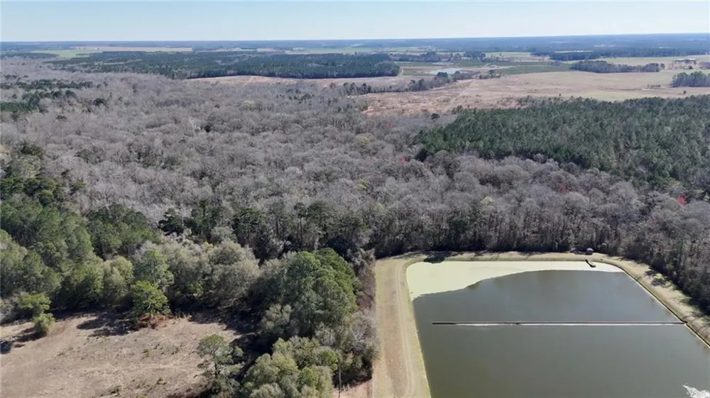 0 Highway 90 Byromville, GA 31007