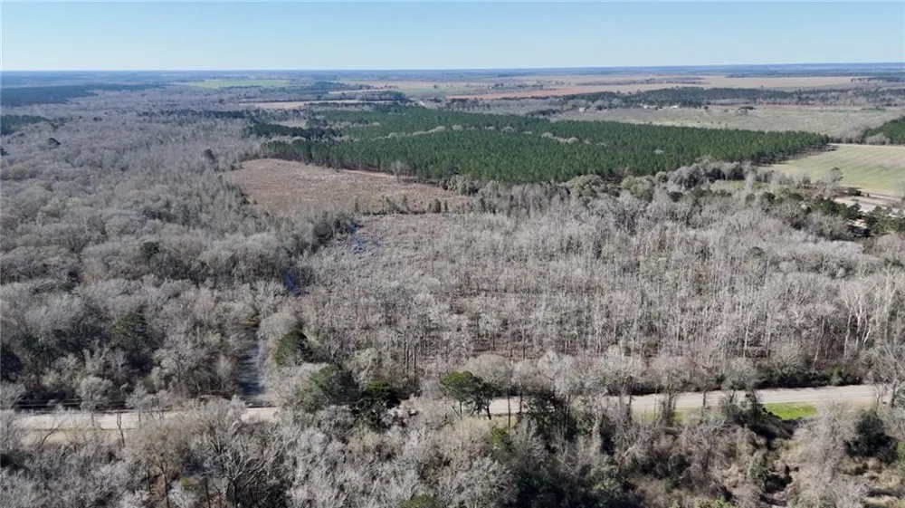 0 Highway 90 Byromville, GA 31007