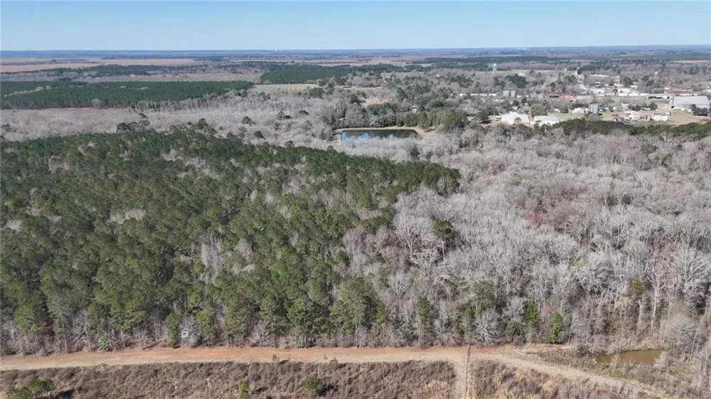 0 Highway 90 Byromville, GA 31007