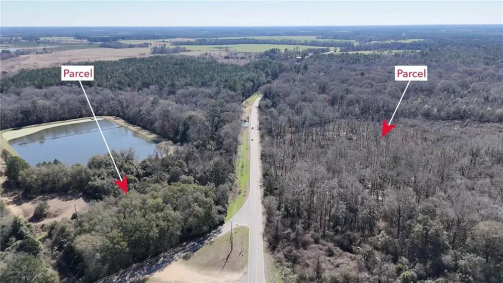 0 Highway 90 Byromville, GA 31007