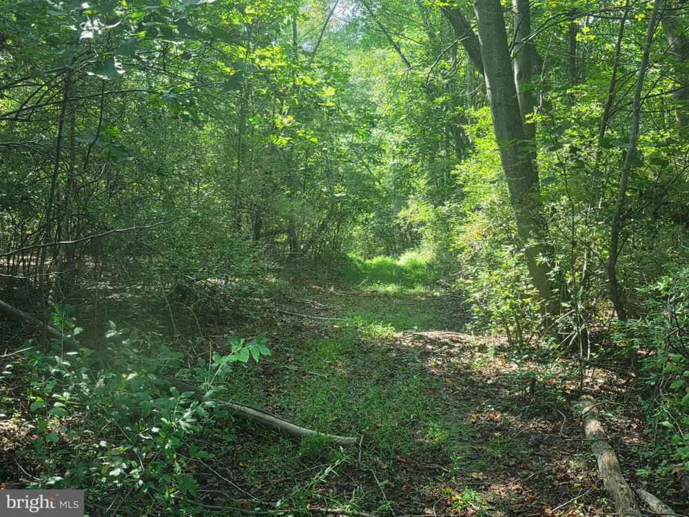 TERRY'S ROAD #LOT 35A Berkeley Springs, WV 25411