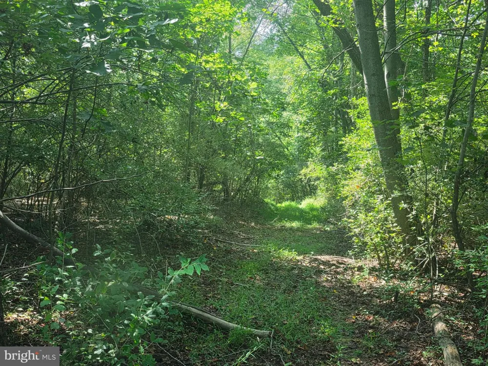 TERRY'S ROAD #LOT 35A Berkeley Springs, WV 25411