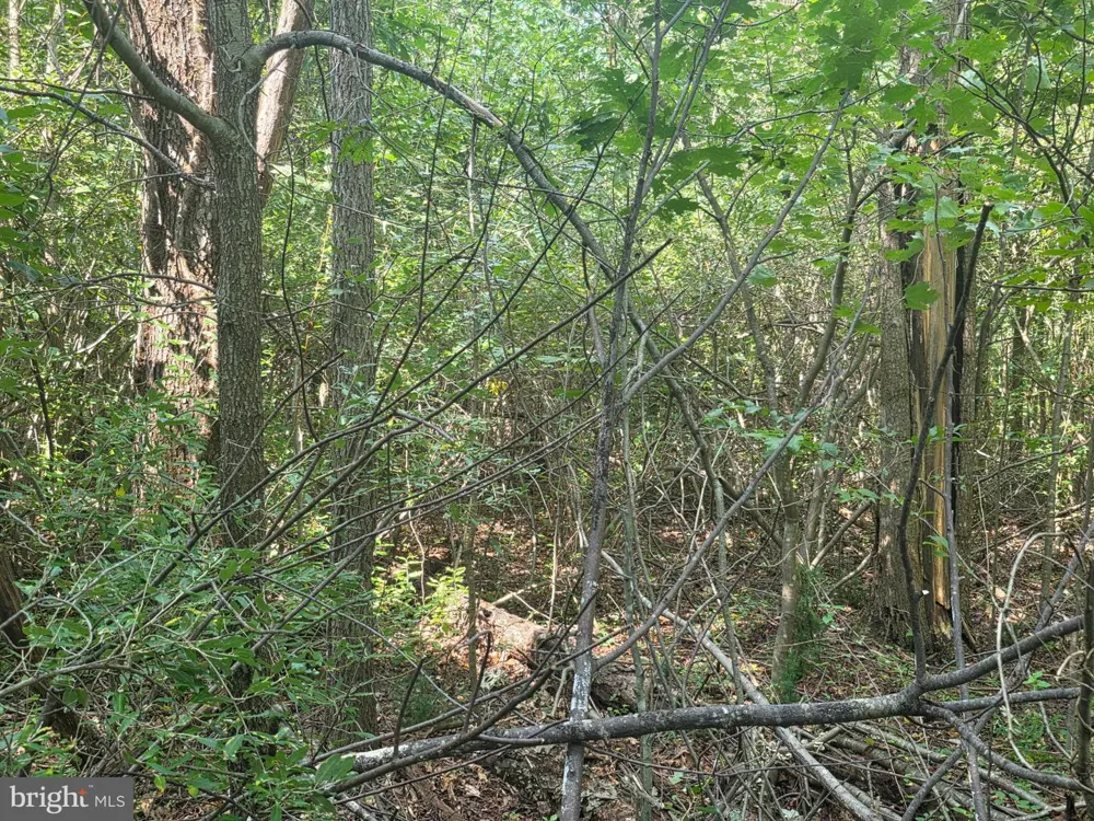 TERRY'S ROAD #LOT 35A Berkeley Springs, WV 25411