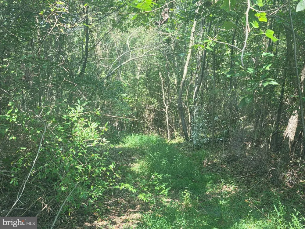 TERRY'S ROAD #LOT 35A Berkeley Springs, WV 25411
