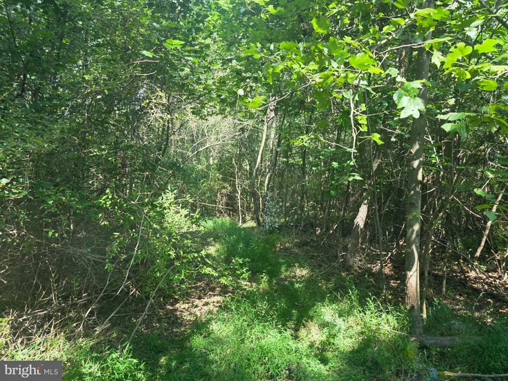 TERRY'S ROAD #LOT 35A Berkeley Springs, WV 25411