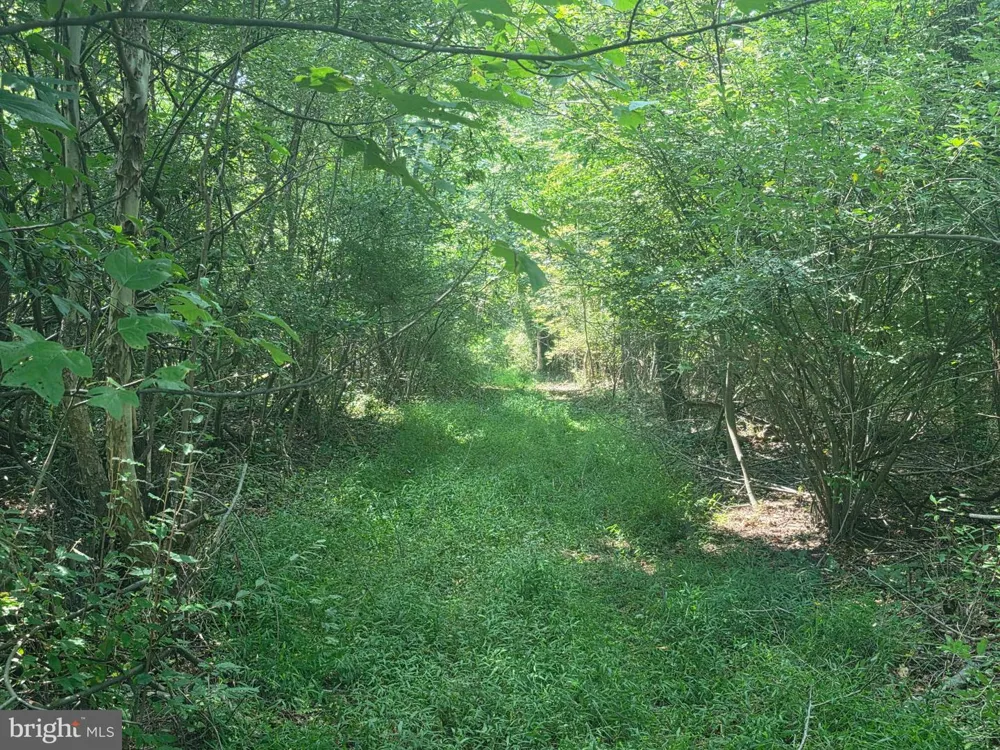 TERRY'S ROAD #LOT 35A Berkeley Springs, WV 25411
