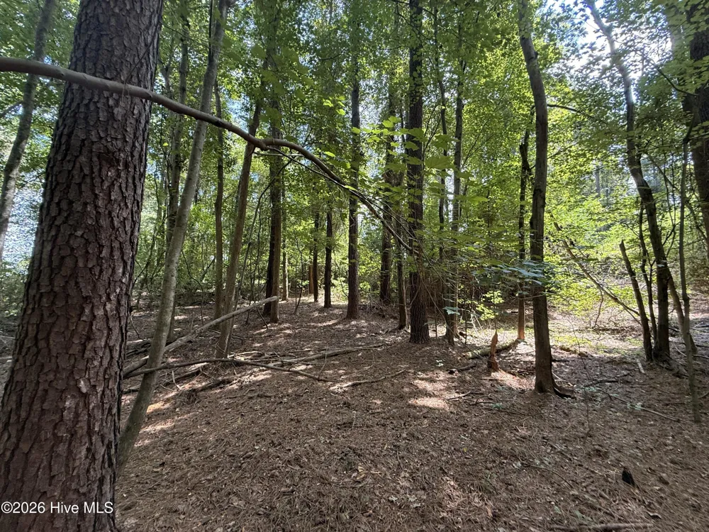 Lot 1a Holland Road Greenville, NC 27834