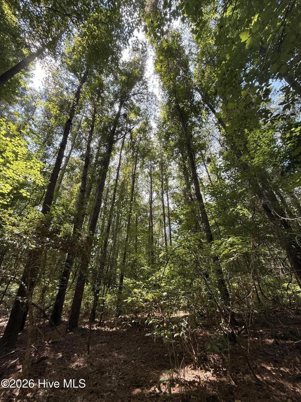 Lot 1a Holland Road Greenville, NC 27834