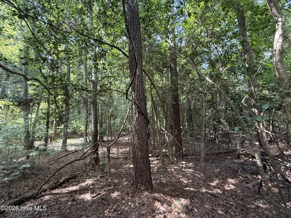 Lot 1a Holland Road Greenville, NC 27834
