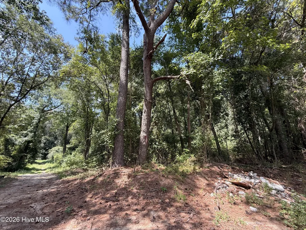 Lot 1a Holland Road Greenville, NC 27834