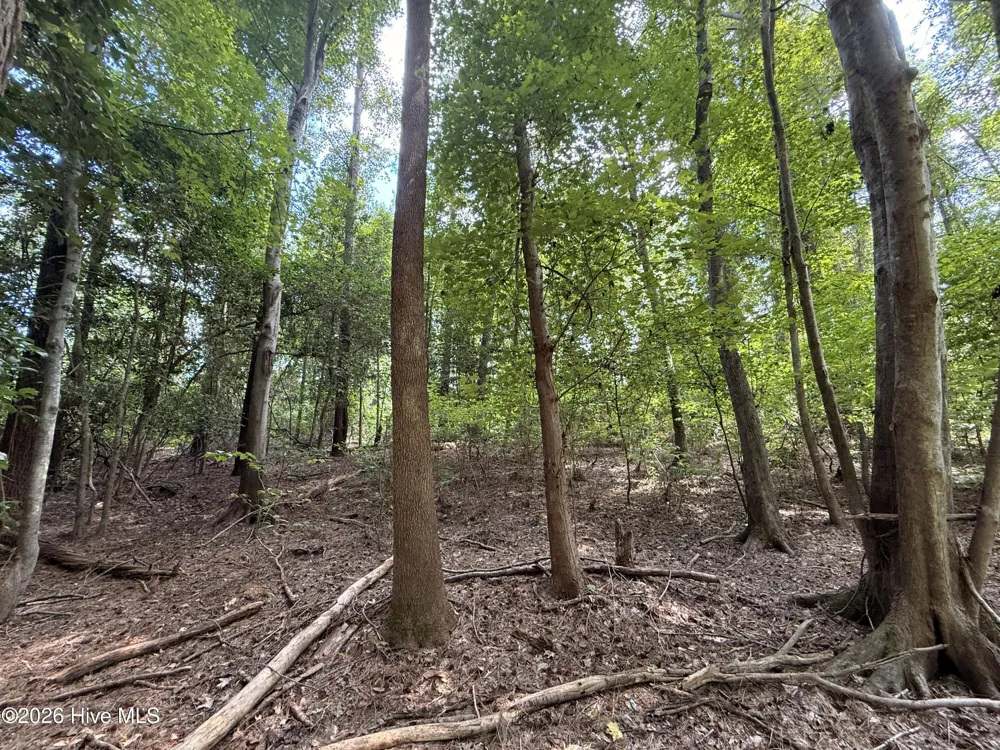 Lot 1a Holland Road Greenville, NC 27834