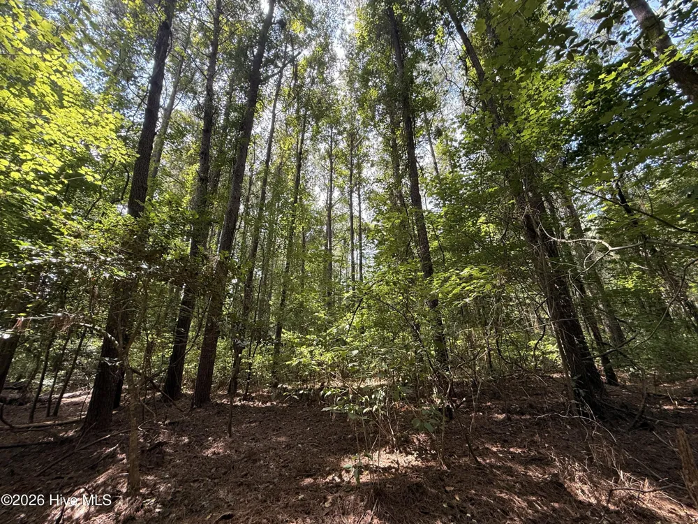 Lot 1a Holland Road Greenville, NC 27834
