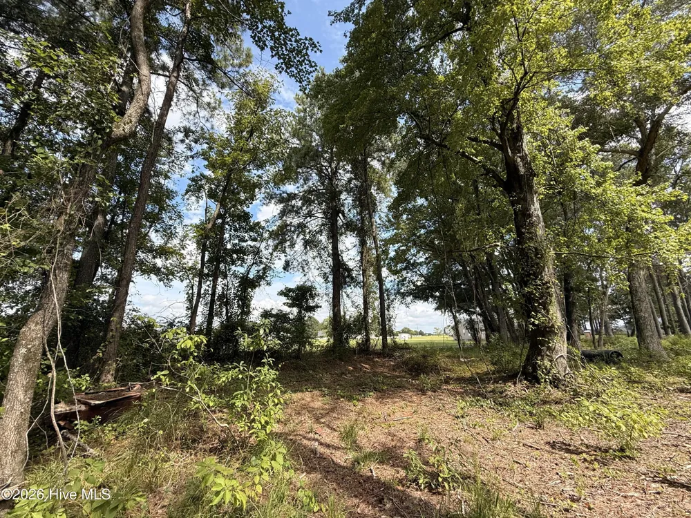 Lot 3a Holland Road Greenville, NC 27834