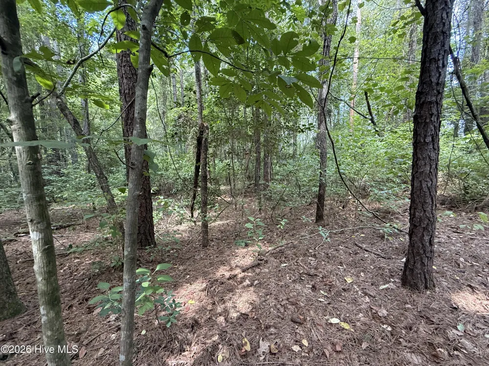 Lot 3a Holland Road Greenville, NC 27834