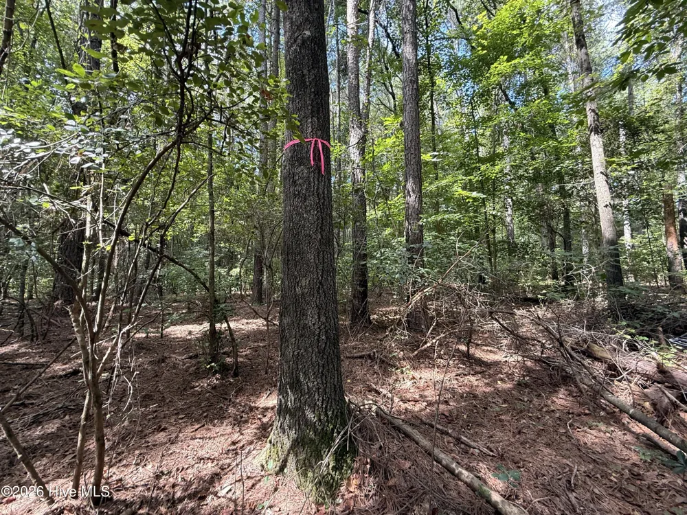 Lot 3a Holland Road Greenville, NC 27834
