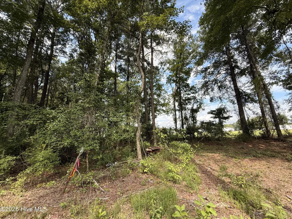 Lot 3a Holland Road Greenville, NC 27834