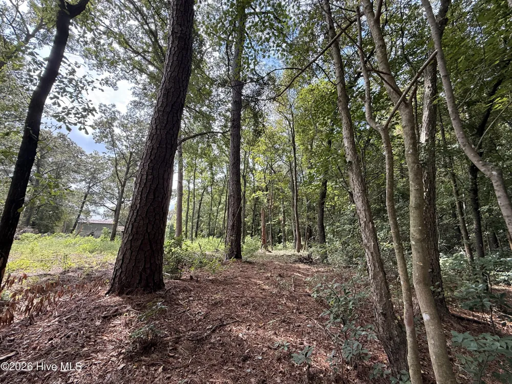 Lot 3a Holland Road Greenville, NC 27834