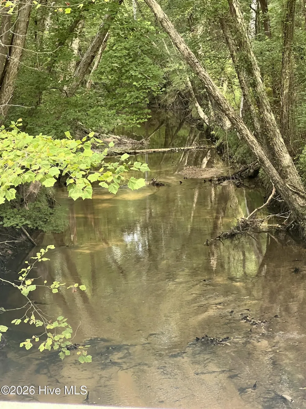 Lot 3a Holland Road Greenville, NC 27834