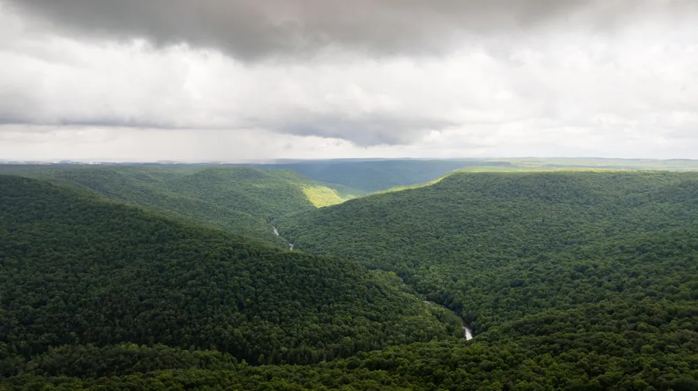 0 Flowing Well Road Spencer, TN 38585