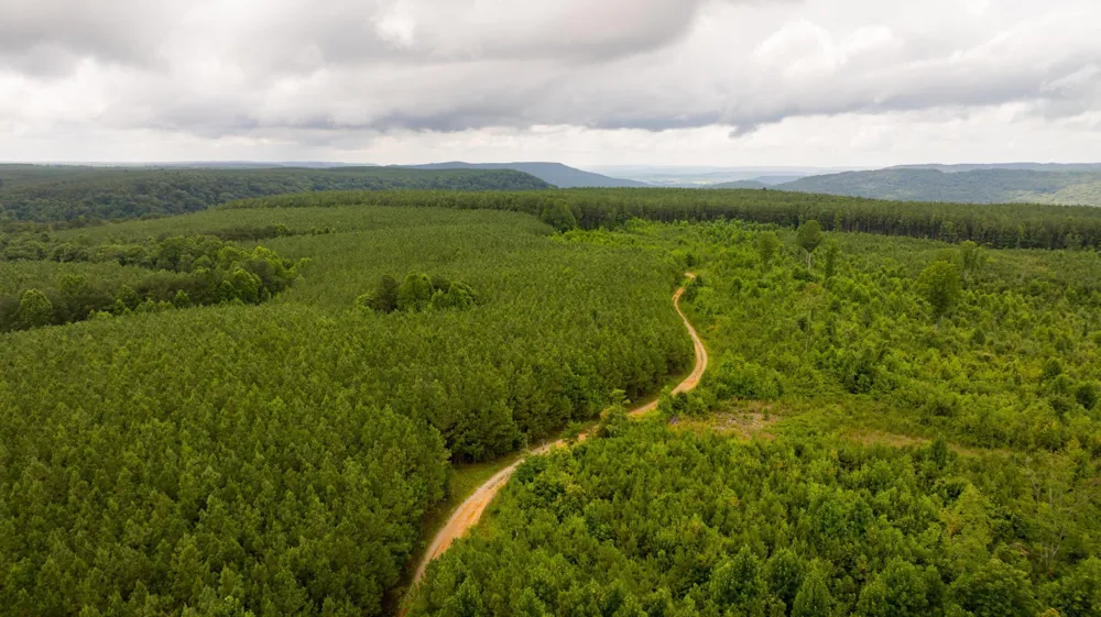 0 Flowing Well Road Spencer, TN 38585