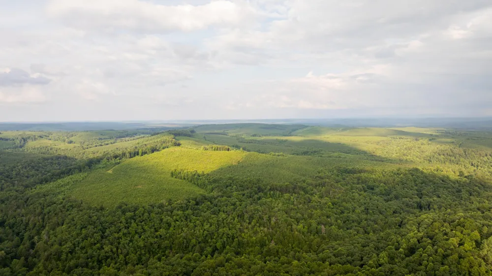 0 Flowing Well Road Spencer, TN 38585