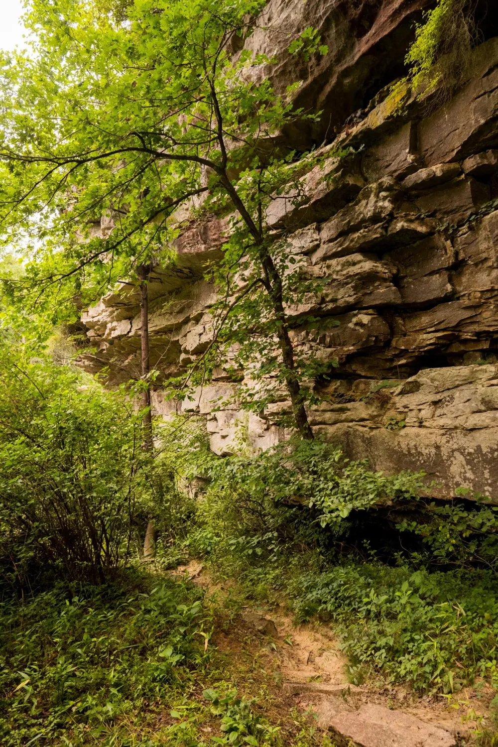 0 Flowing Well Road Spencer, TN 38585
