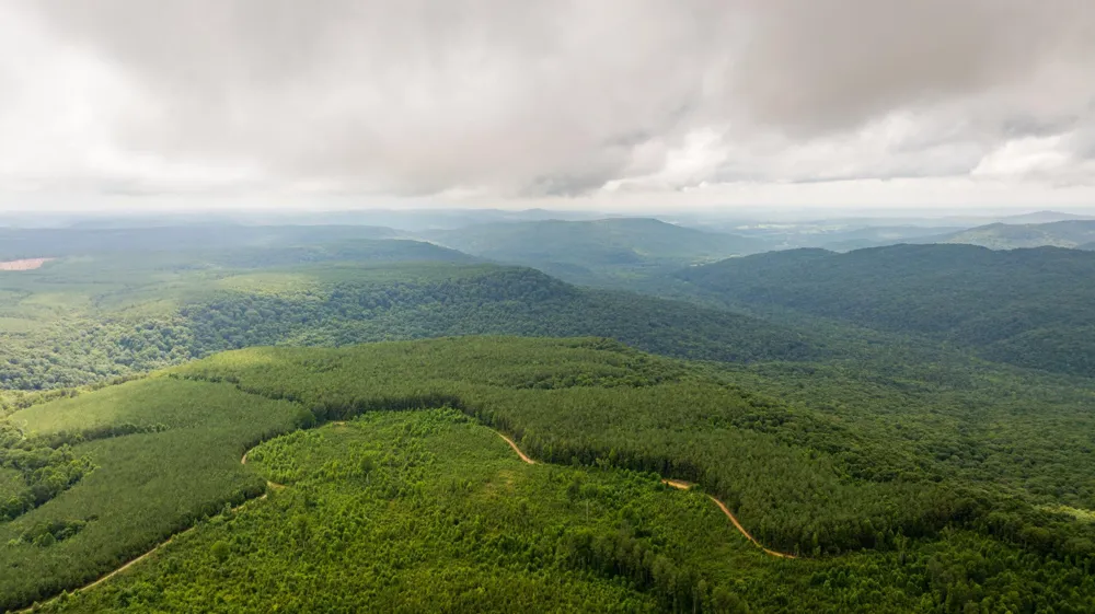 0 Flowing Well Road Spencer, TN 38585