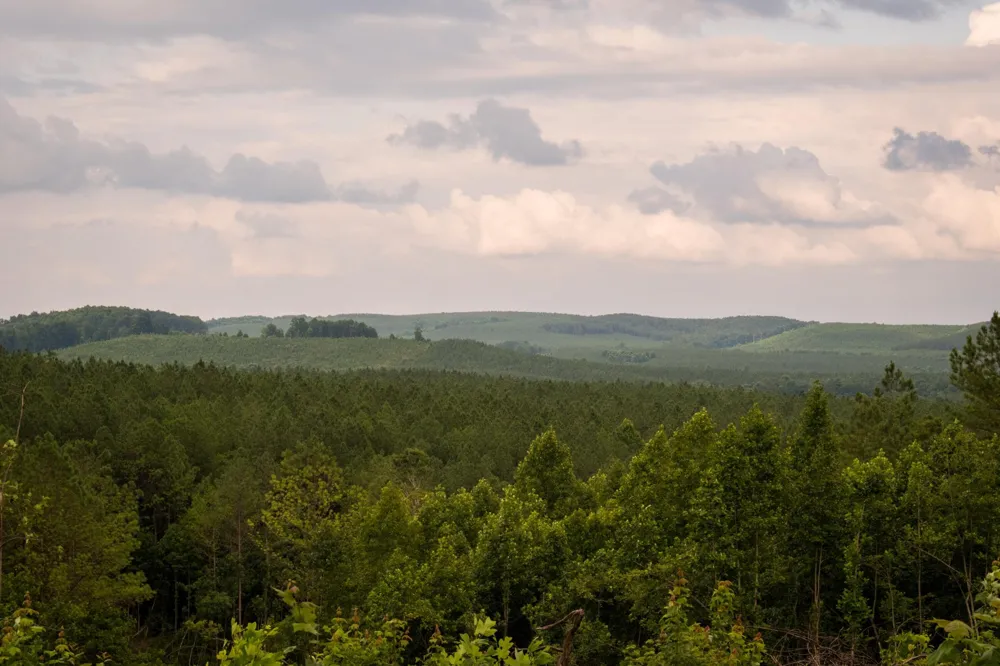 0 Flowing Well Road Spencer, TN 38585