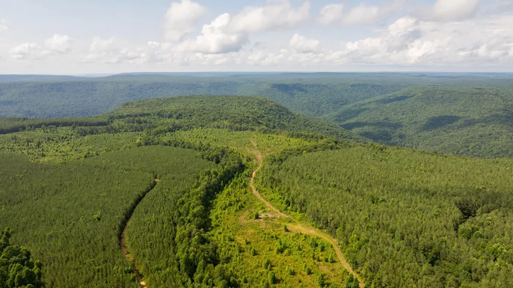 0 Flowing Well Road Spencer, TN 38585