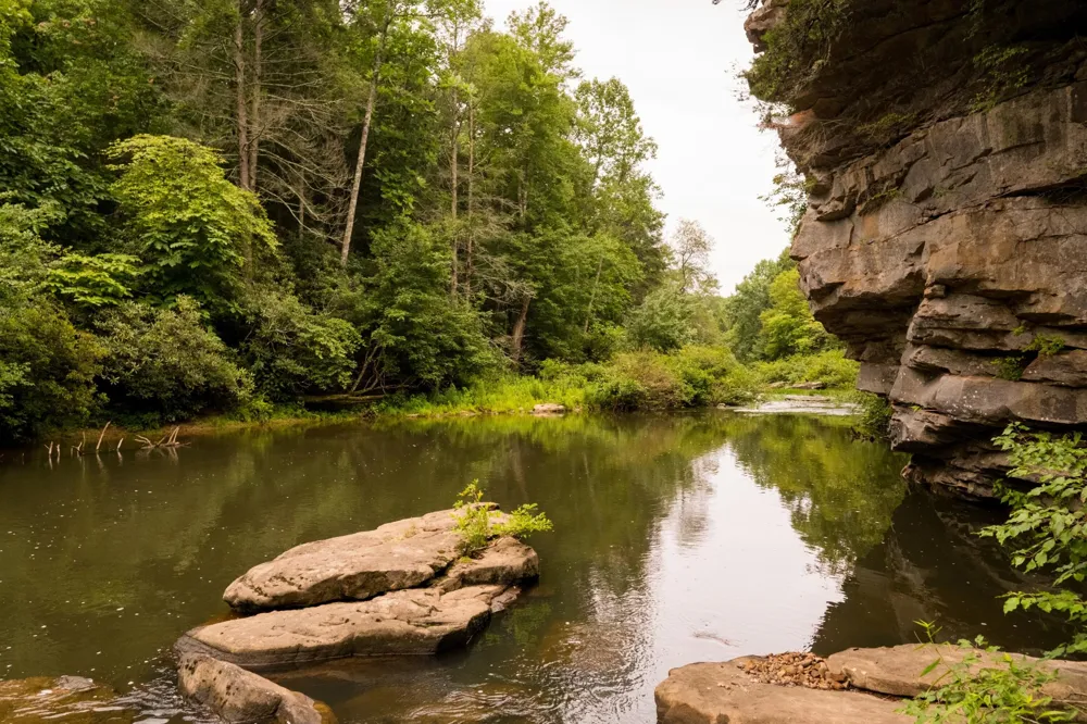 0 Flowing Well Road Spencer, TN 38585