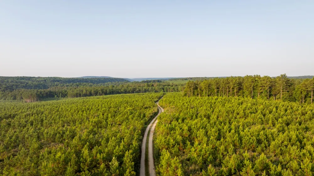 0 Flowing Well Road Spencer, TN 38585