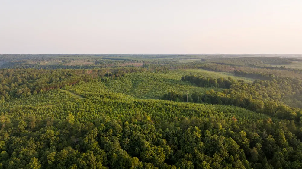 0 Flowing Well Road Spencer, TN 38585