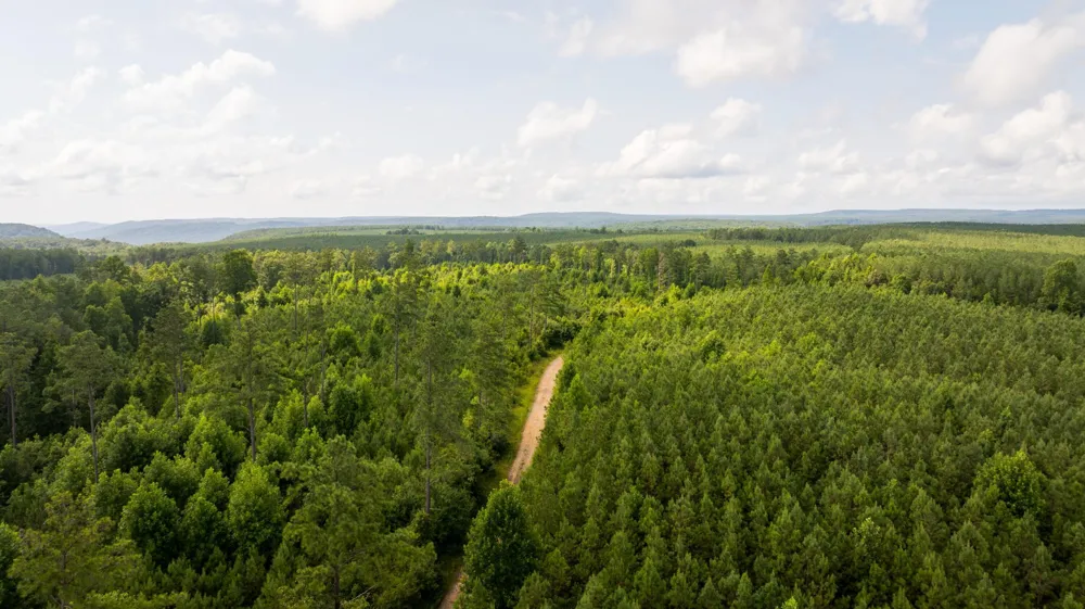0 Flowing Well Road Spencer, TN 38585