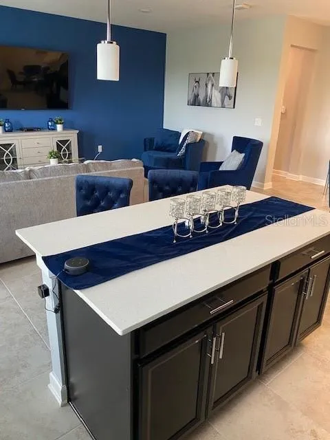 8515 HONORS STREET Davenport, FL 33896