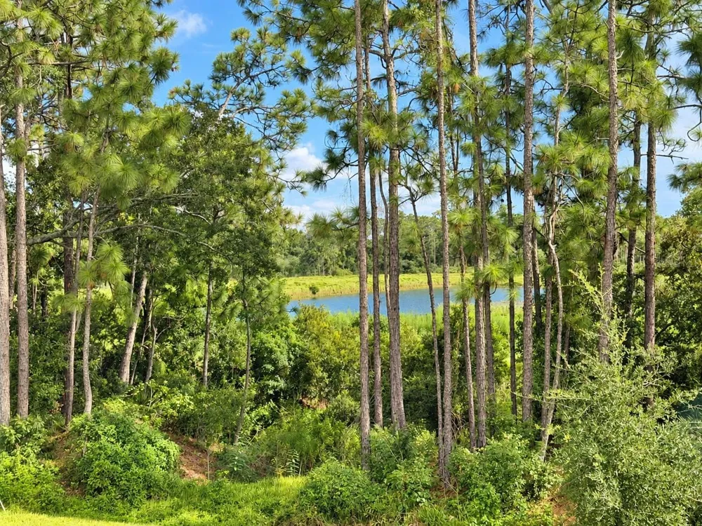 5232 PRAIRIE PRESERVE RUN St Cloud, FL 34772