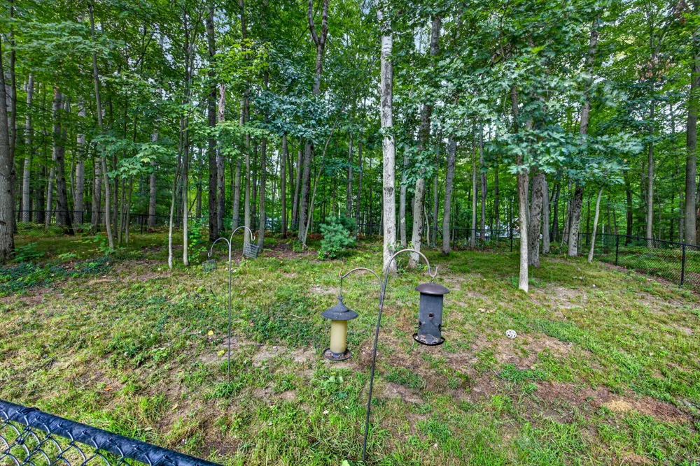 8433 Montreal Lane Canadian Lakes, MI 49346