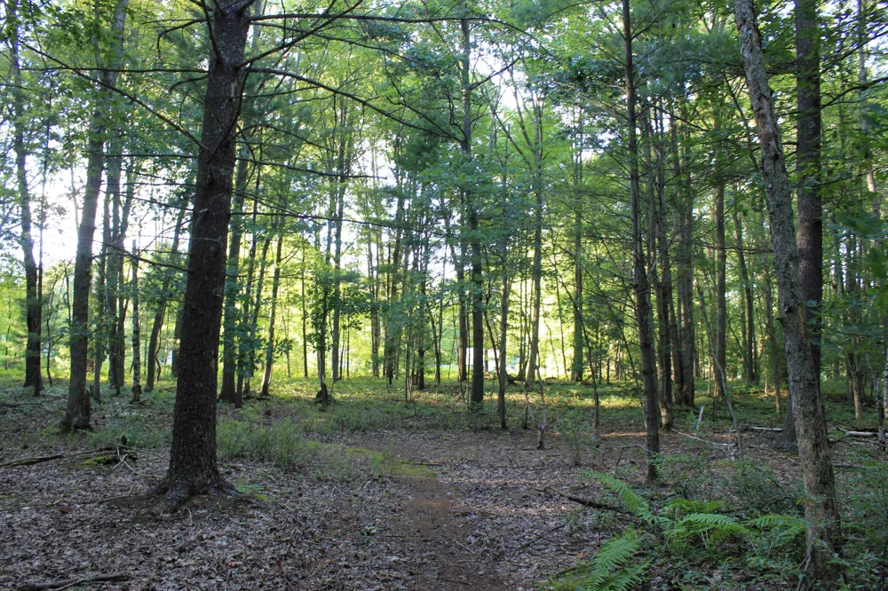 3429 W Giles Road Laketon Township, MI 49445